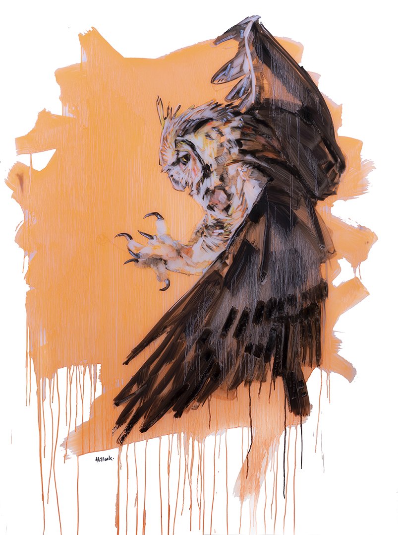 great horned owl web.jpg