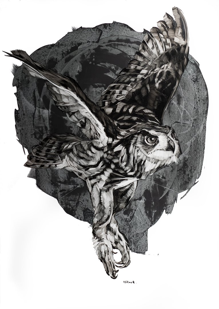 Great Owl web.jpg