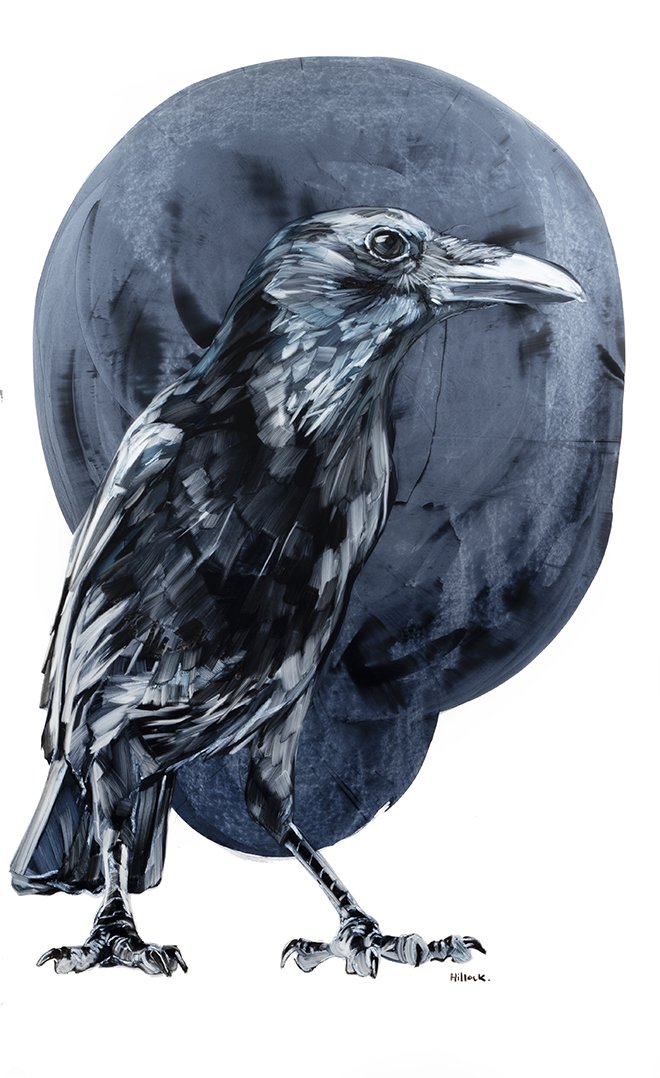 crow blue web.jpg