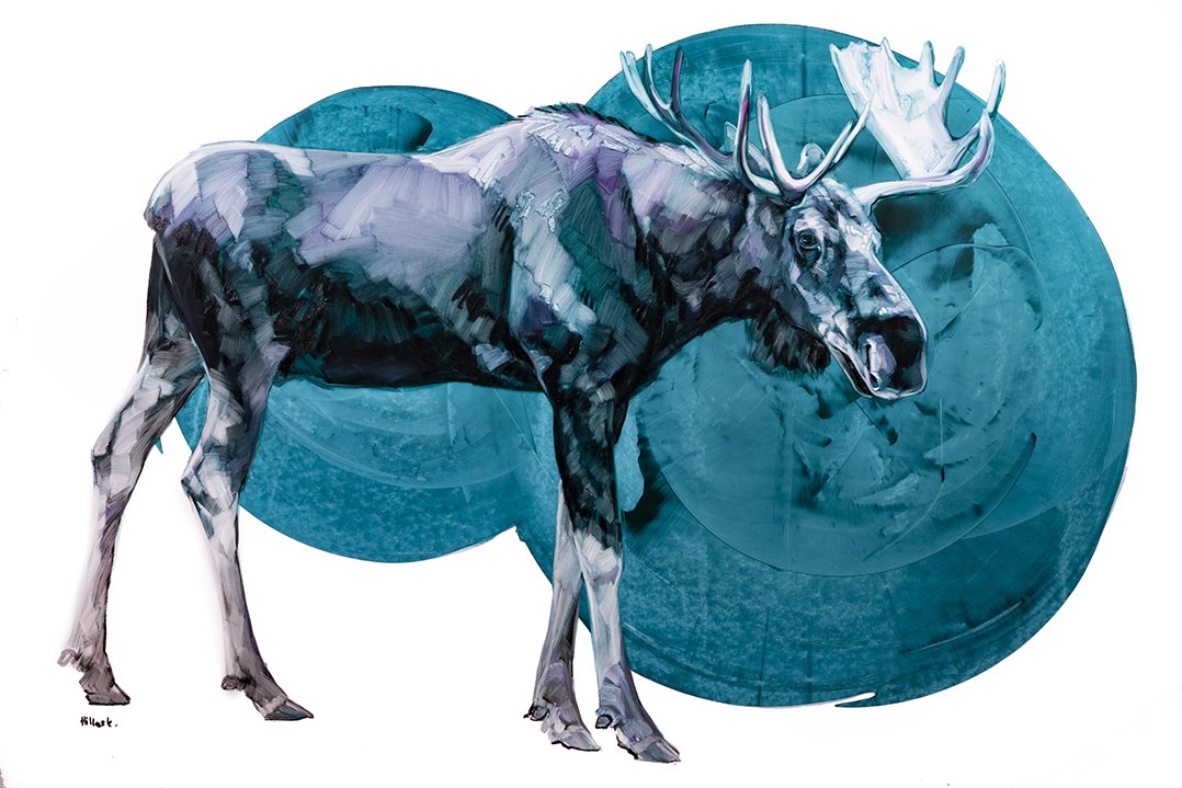 moose blue web.jpg