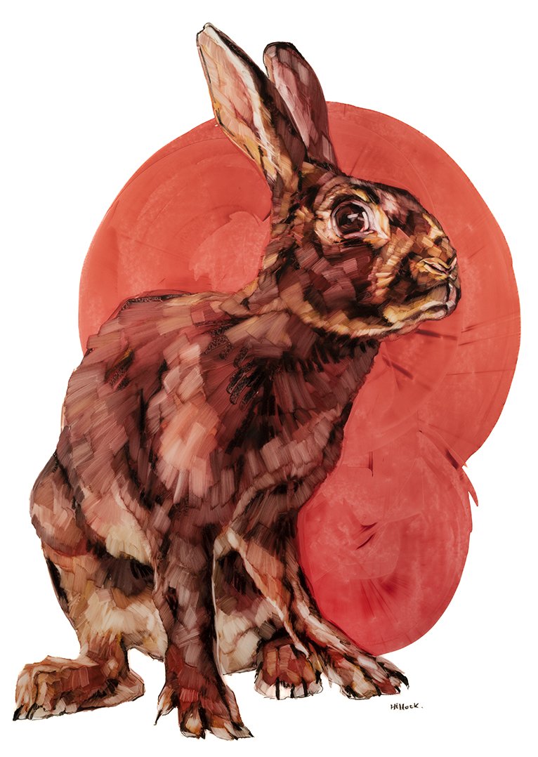 Owen Rabbit small web.jpg
