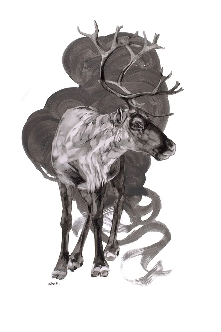 Caribou 1web.jpg