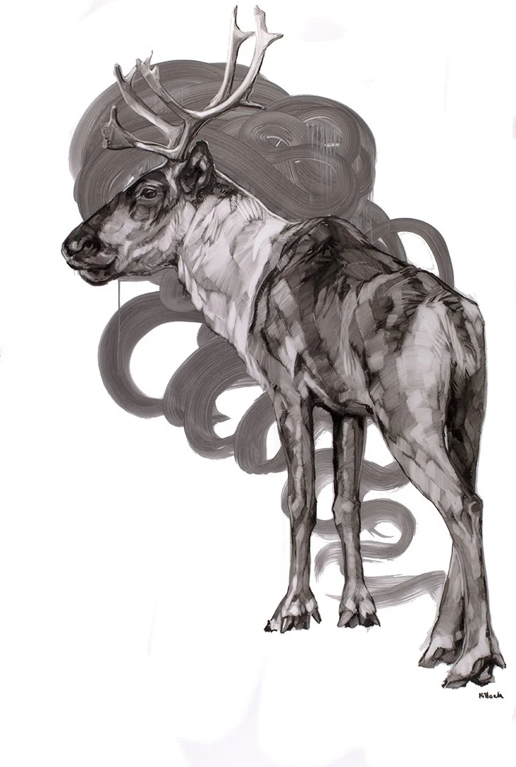 Caribou 2web.jpg
