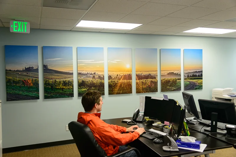 The finished product: Red Hills Acquisitions' Office with 161 x 43 inch Panoramic Merger Print split in 7 panels with onOne's Perfect Resize: archival mounting on solid core Sintra, and coated with Premiere Art Shield UV and water sealant. 