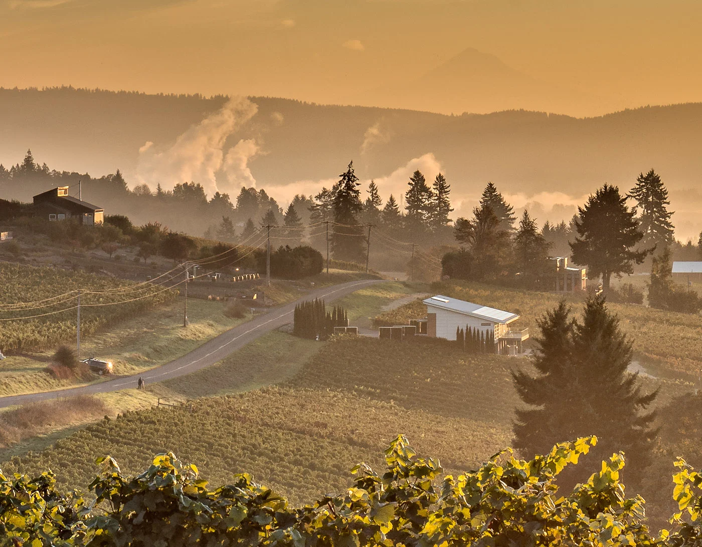 Detail Crop of Red Hills Panoramic Merger: (Click to Enlarge)