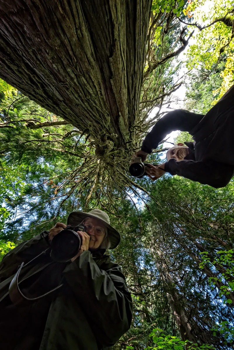 Who's Photographing Who?: Yva Momatiuk and John Eastcott in Mount Rainier National Park