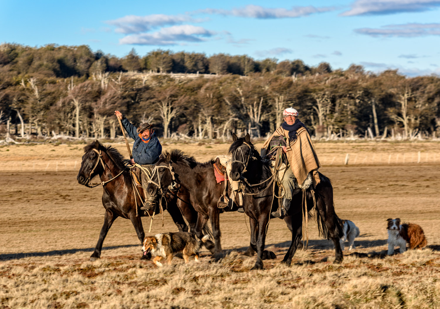 20151021_D810_TierraDelFuego_0148-Edit.jpg