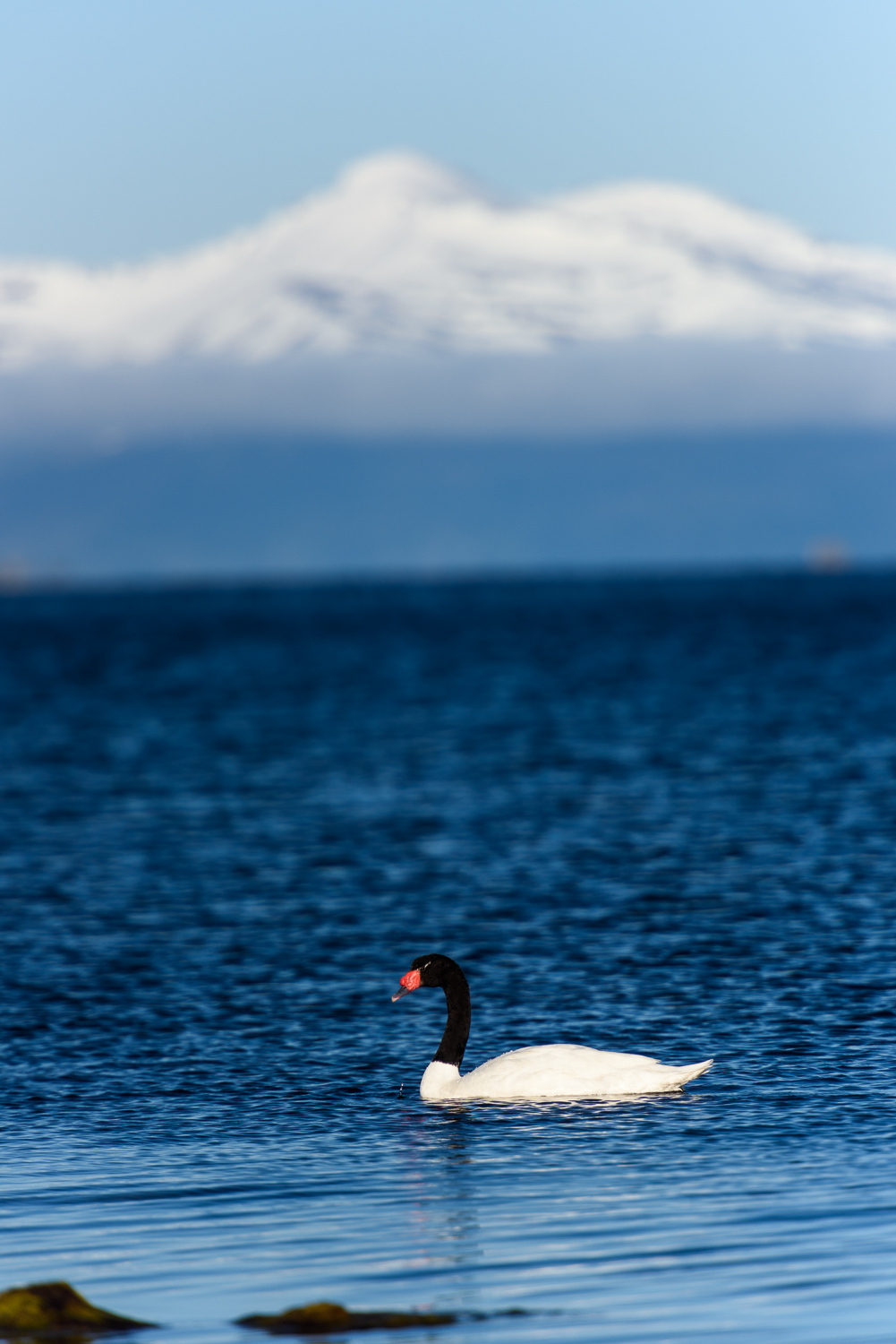 20151024_D810_PuertoNatales_0189.jpg