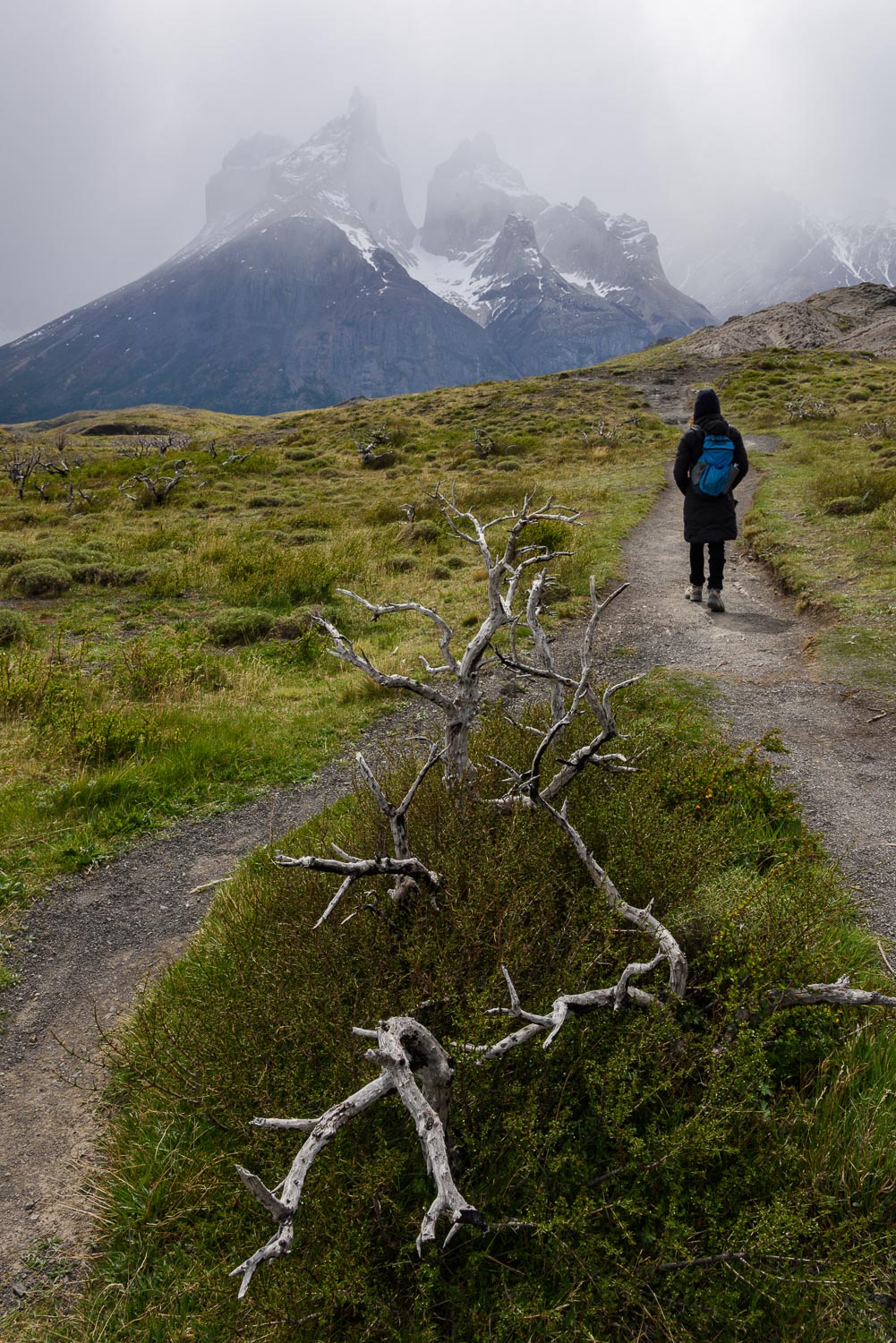 20151026_D810_TorresDelPaine3_0034.jpg