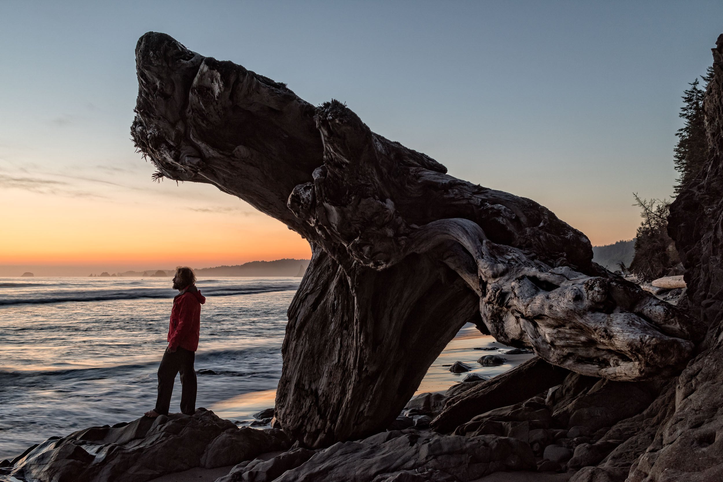 Self Portrait South Coast Olympic National Park