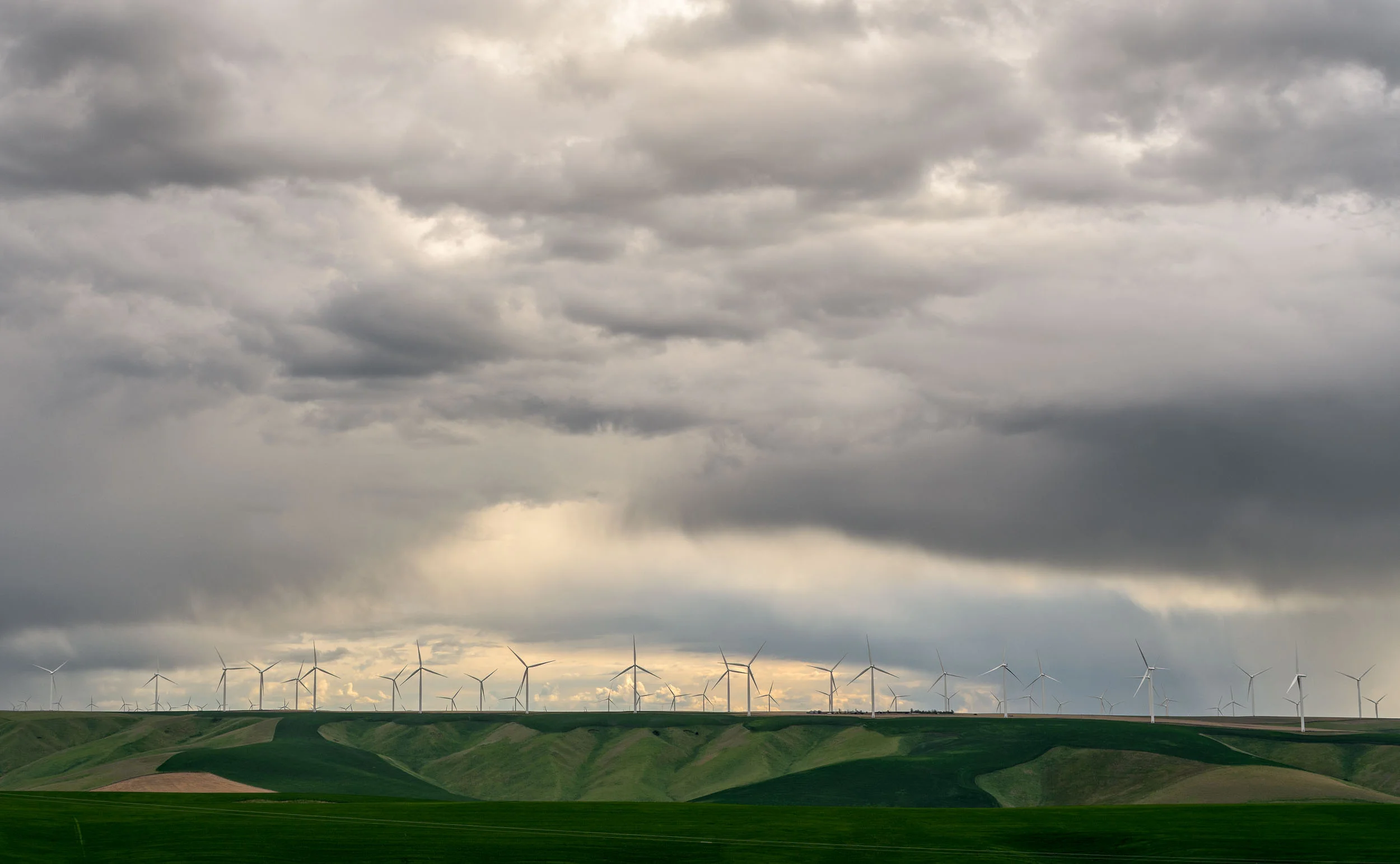 20180510_D500_Palouse_0004-Edit.jpg
