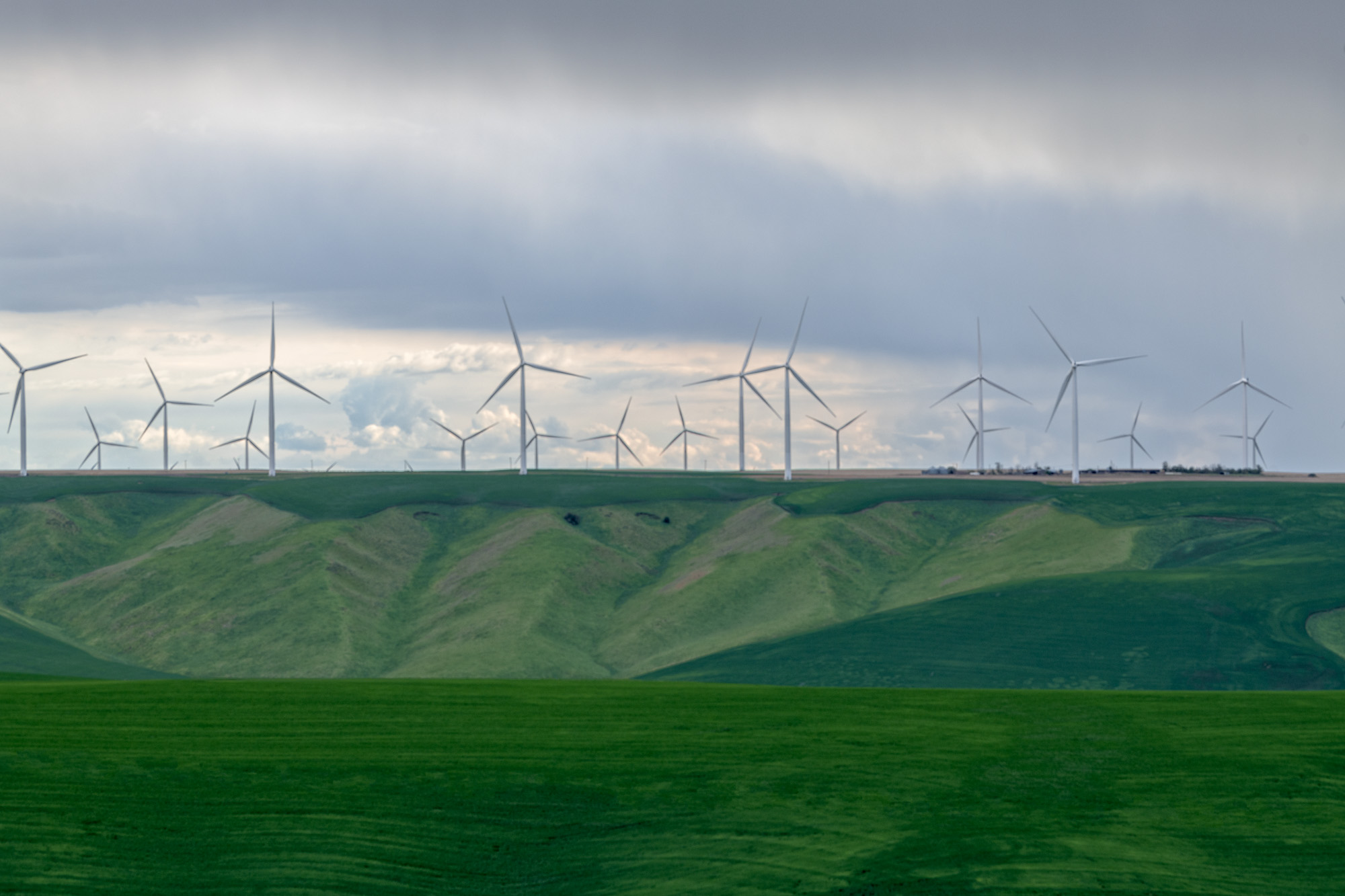 20180510_D850_Palouse_0043-Edit.jpg