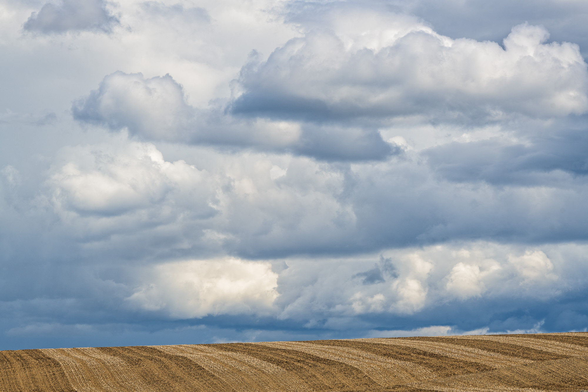 20180510_D850_Palouse_0040-Edit.jpg