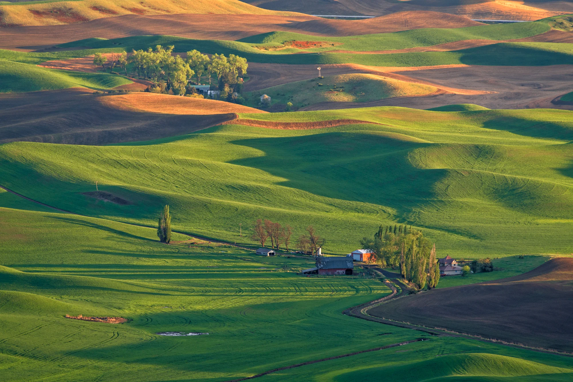 20180510_D850_Palouse_0109-Edit.jpg