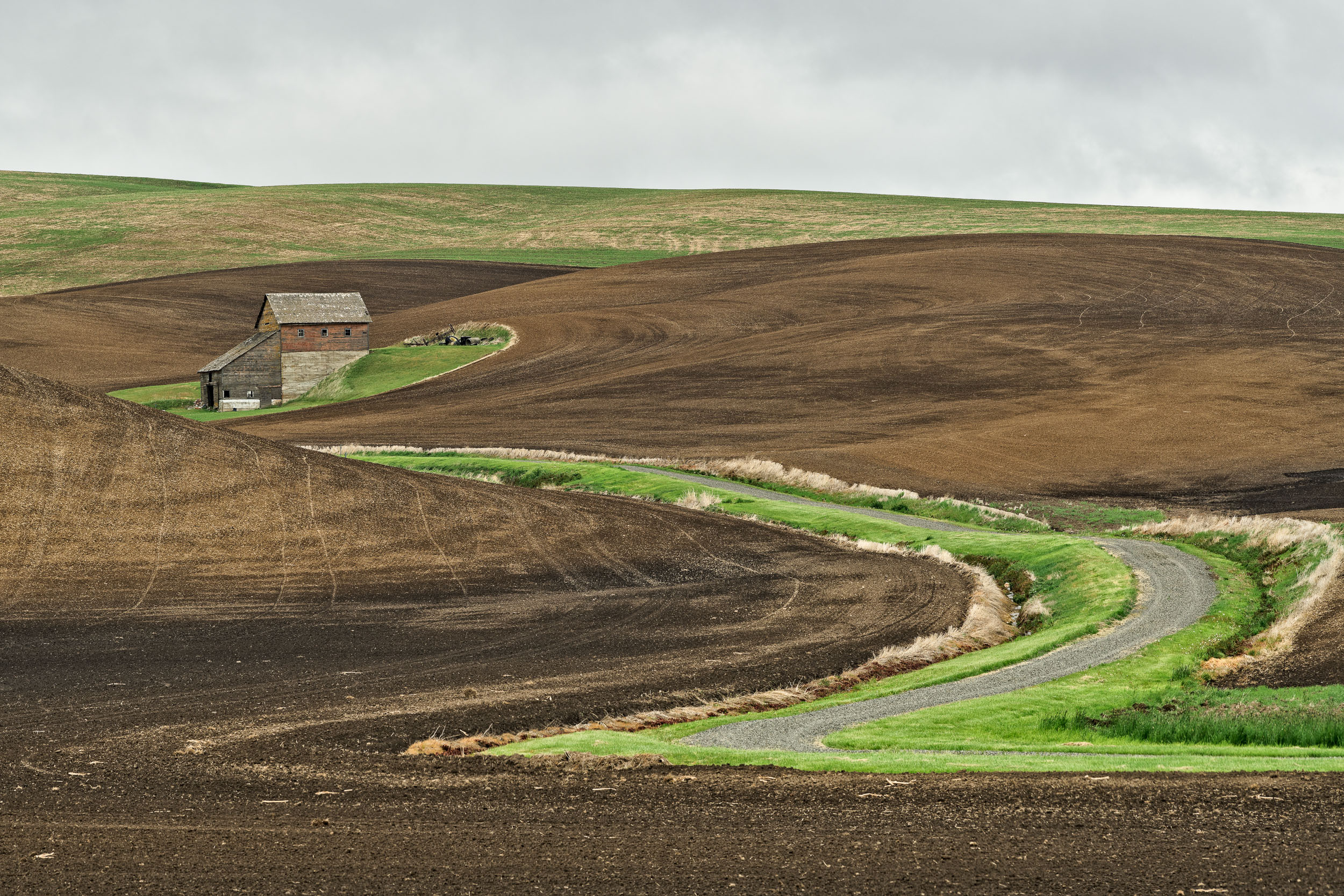 20180511_D850_Palouse_0186-Edit.jpg