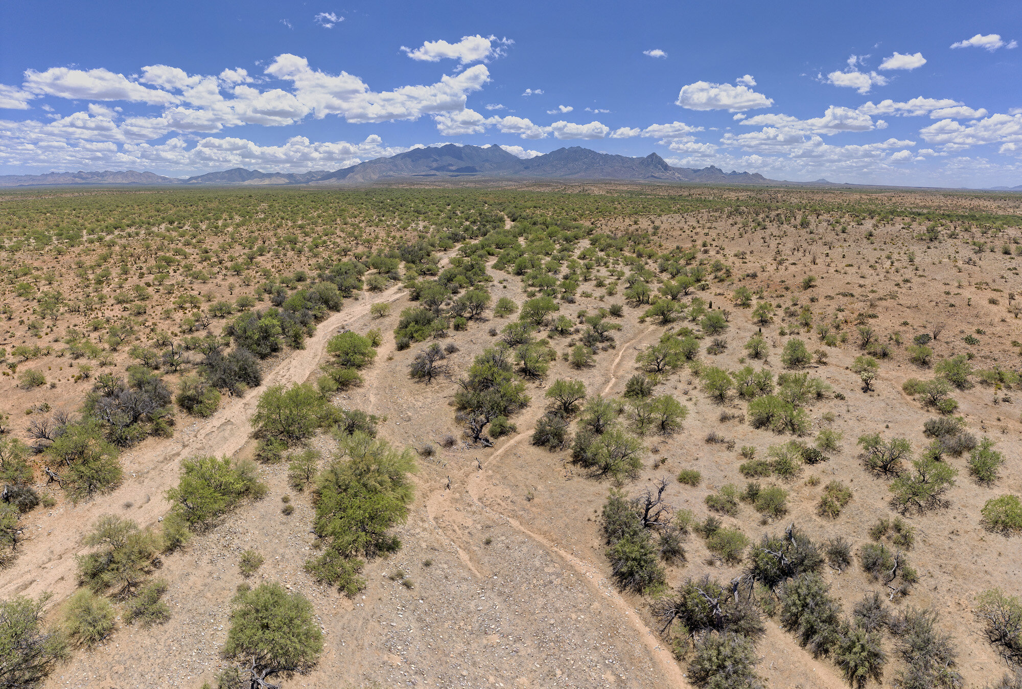 9 Shot Drone Pano by Bill Peake.jpg