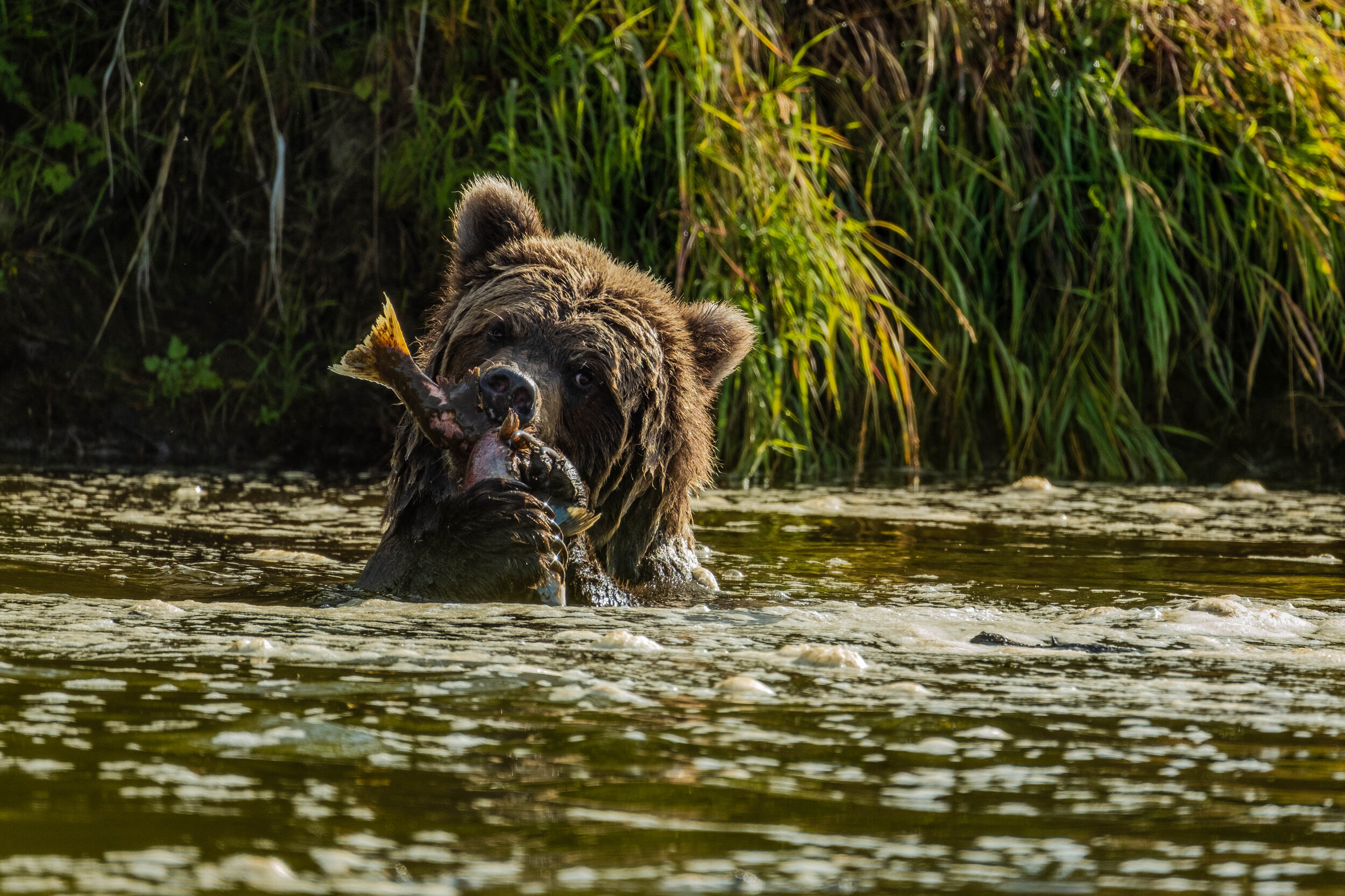 Fishing Buddy by Eugene Lagomarsino.jpg