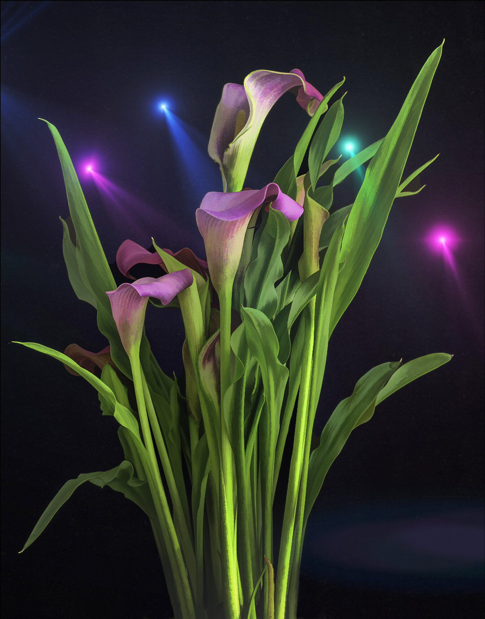 Presenting the Calla Lilies by Les Greenberg.jpg