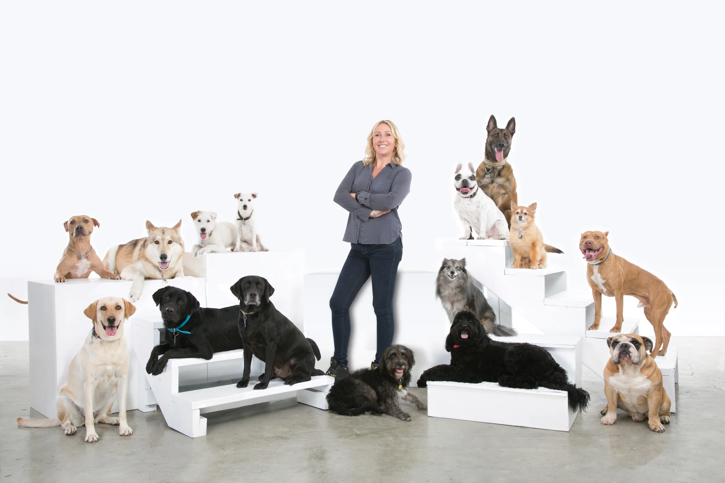 So many of my amazing clients’ dogs! Without them, we would not be what we are today!