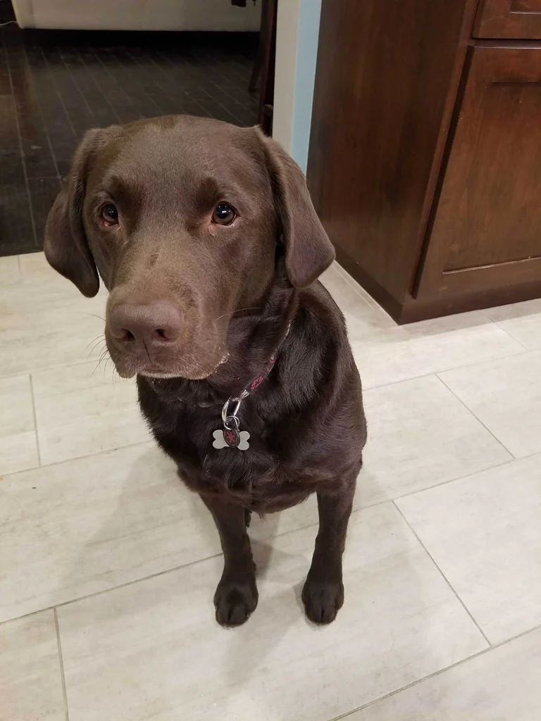 Luca