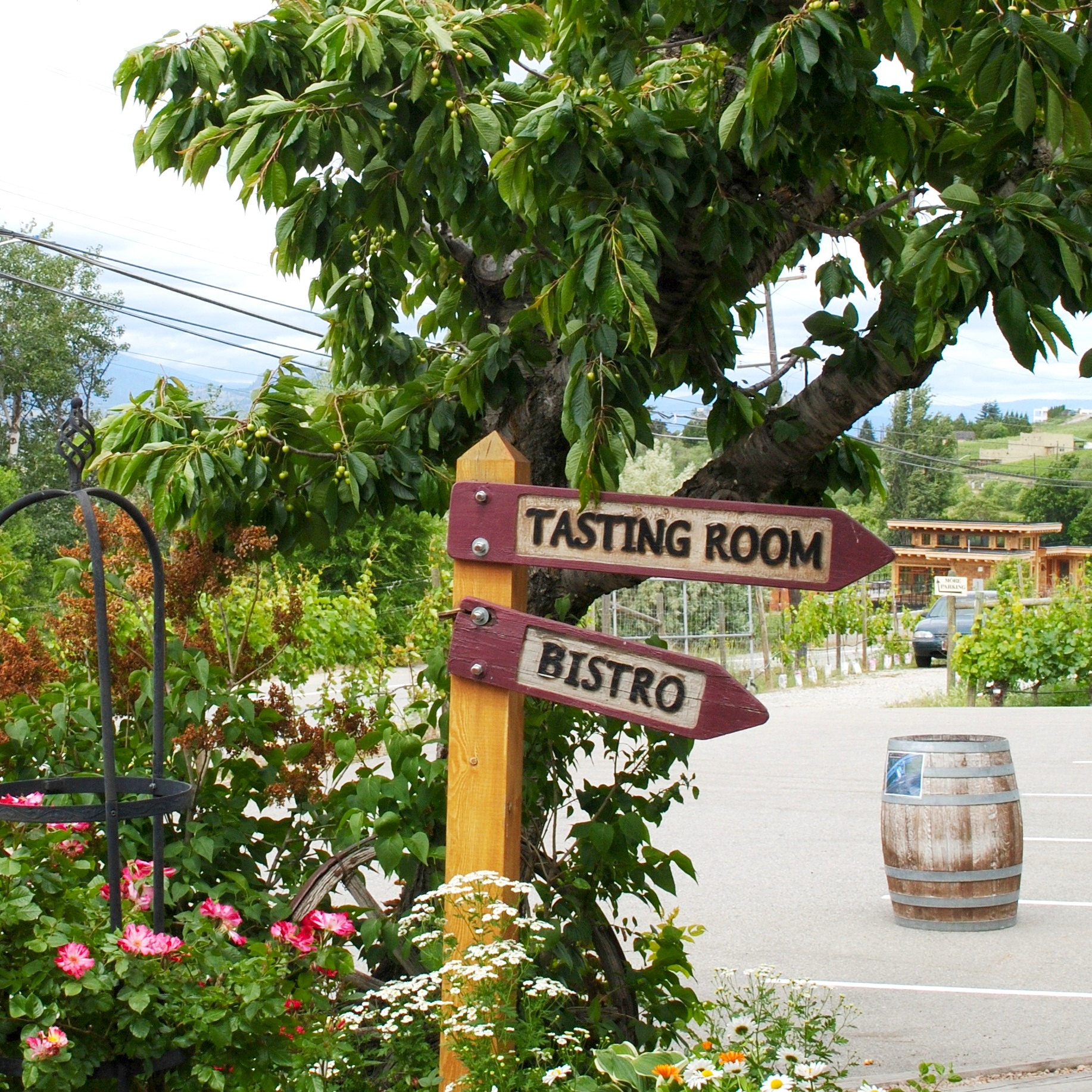 Hillside+Winery+in+Okanagan+on+Ashleyfisher.jpg