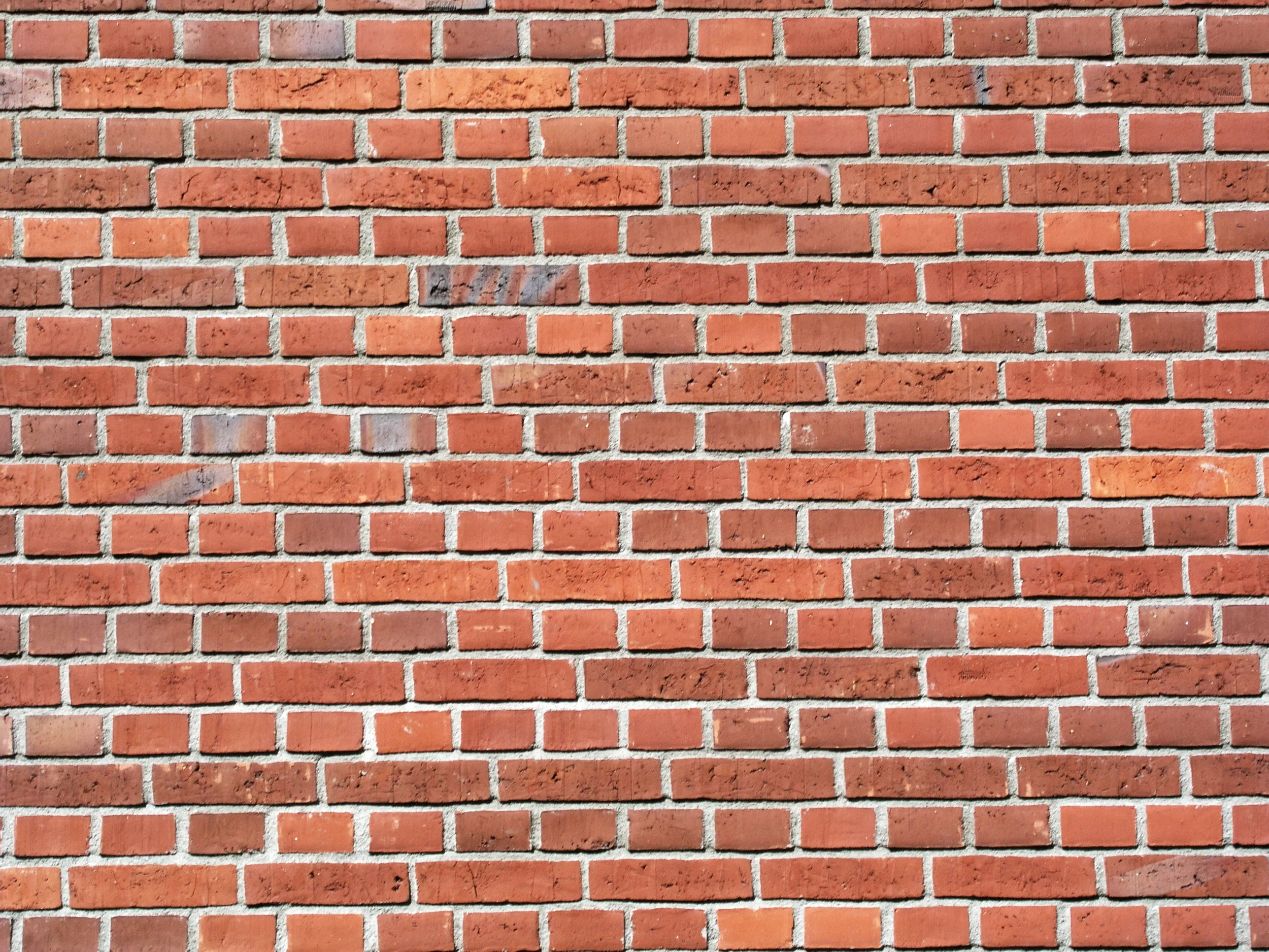 Brick Wall.jpg