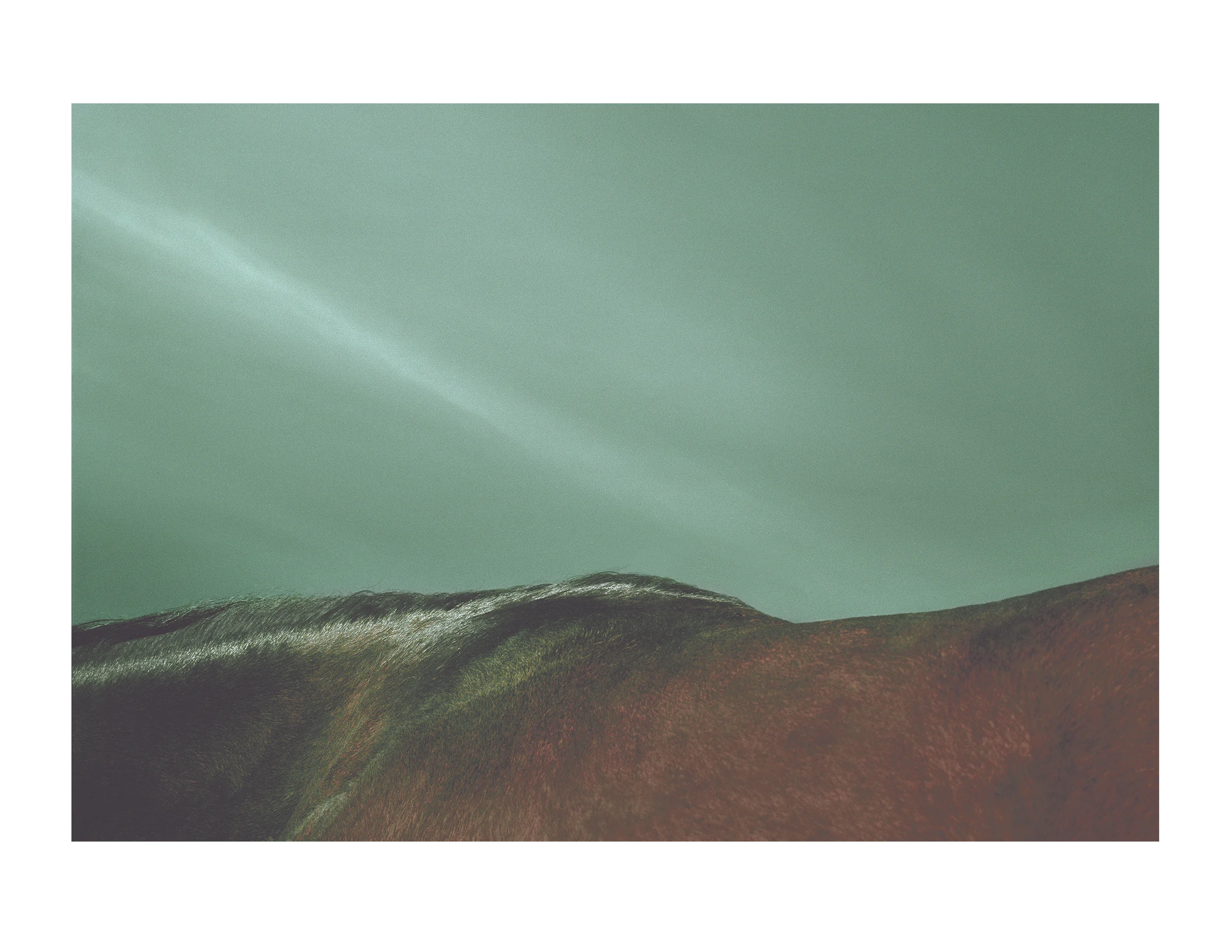 Ridge_2000.jpg