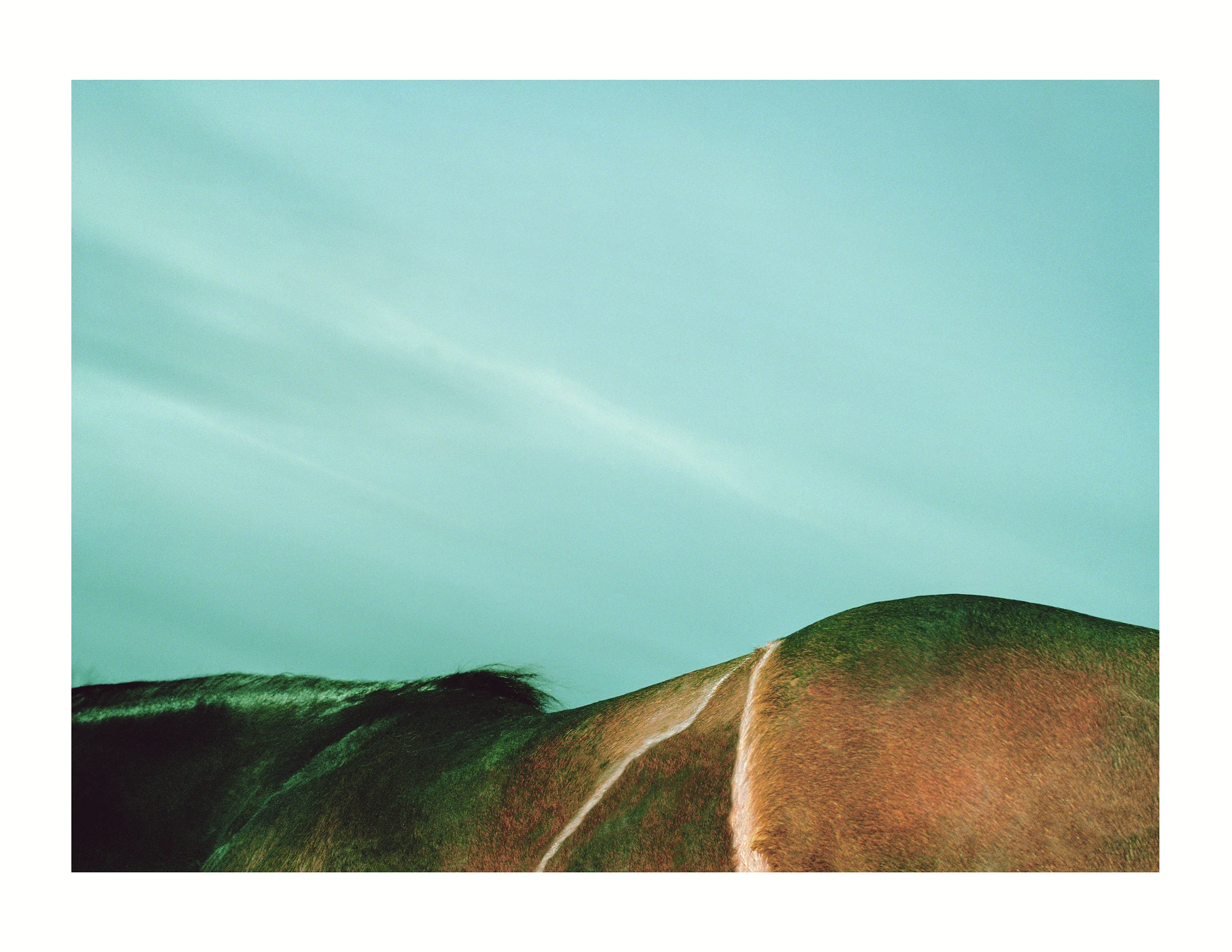 Ridgeway_2000.jpg
