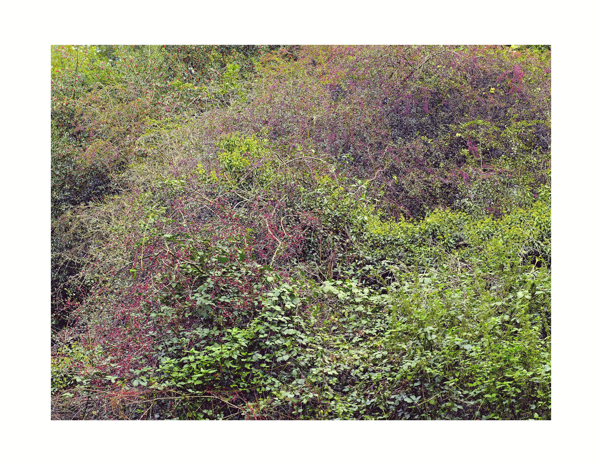 Heath9_2000.jpg