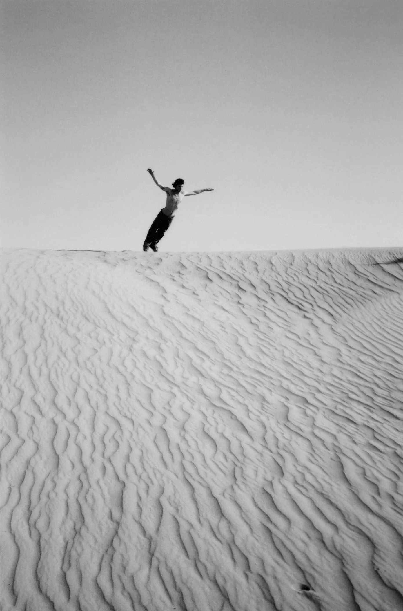 Mark Appleyard, Dubia, 2005