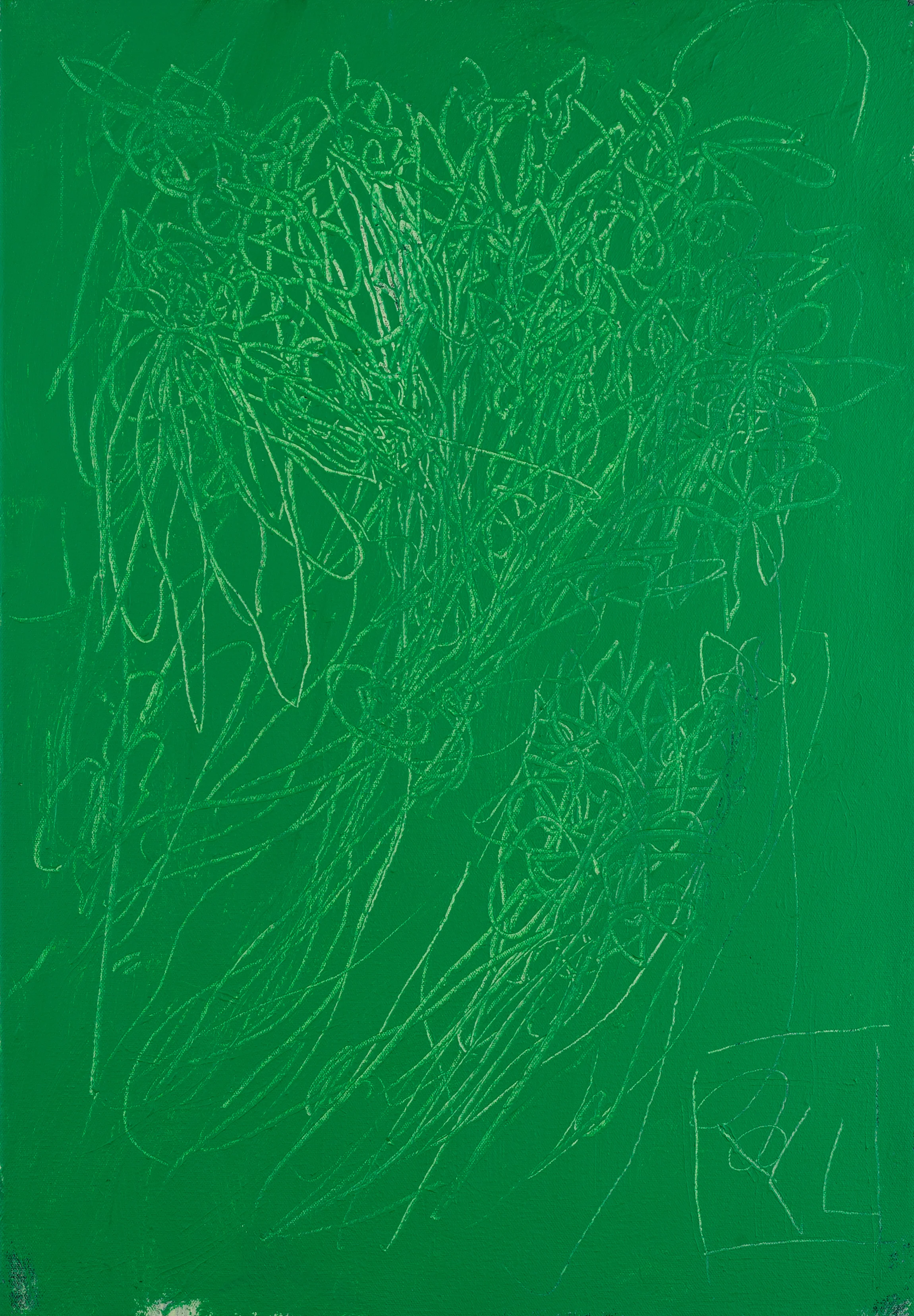 levy_bouquet(V)_65x45cm_2011.jpg