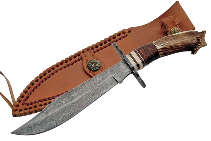 DM-1042.jpg