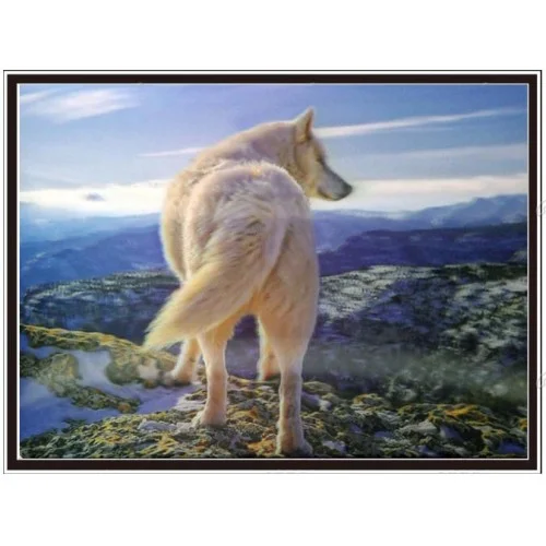 leader of the pack.JPG