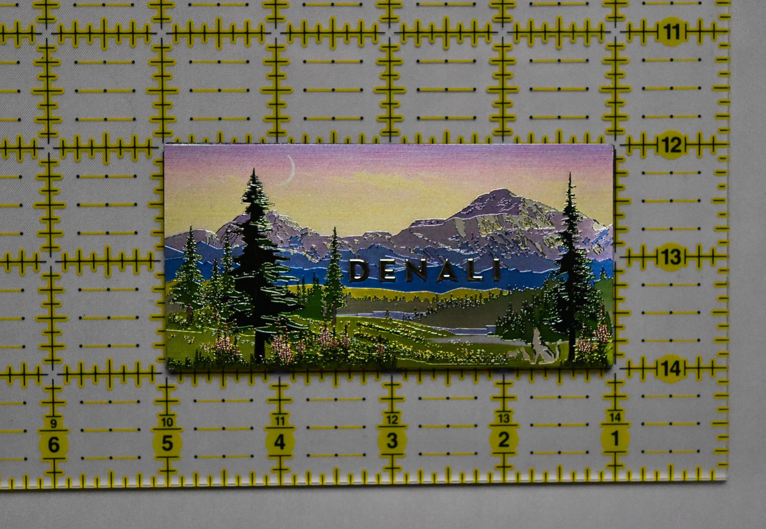 DSC_0081.jpg