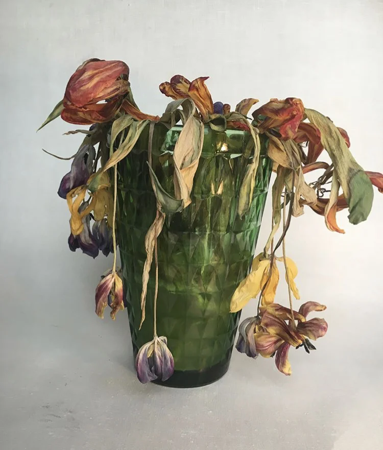 deadflowers_josephgrigely.jpg