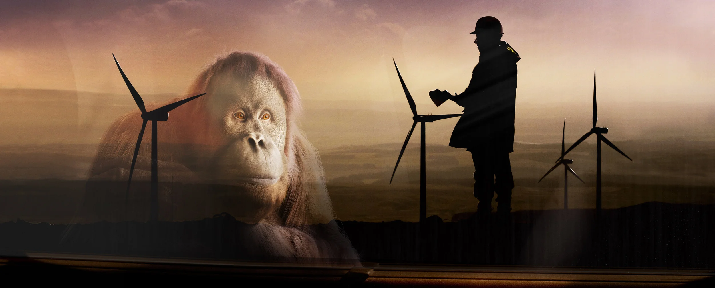 AGENCY : The Mill : Adam &amp; Eve