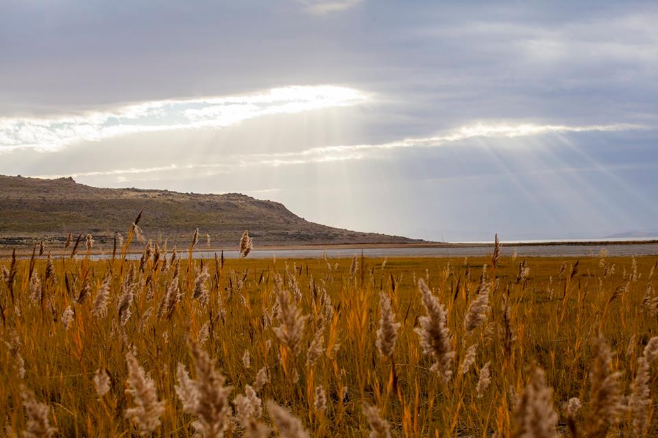 Antelope Island State Park