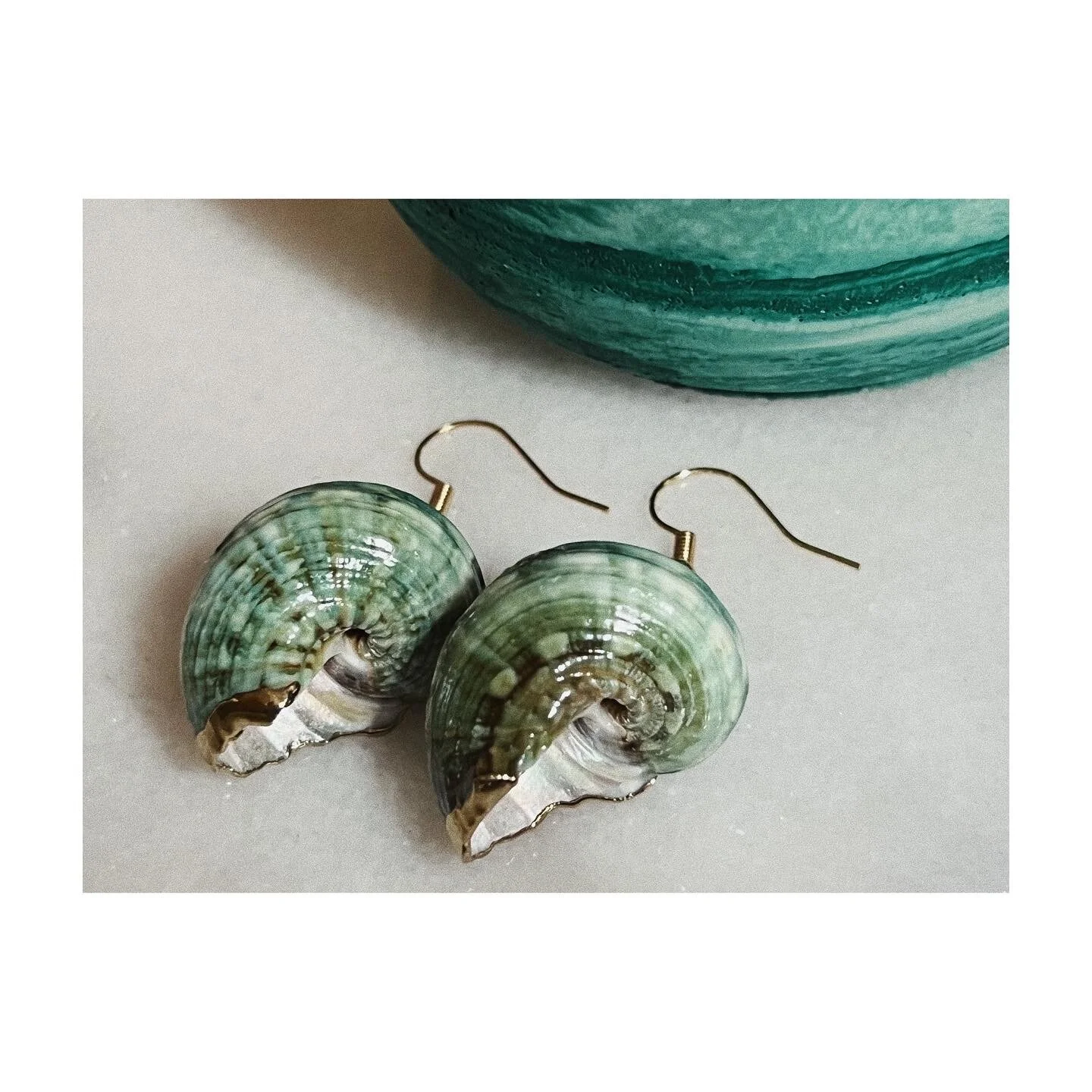 037DD32B-4719-4E1F-A88F-14559BF55A41