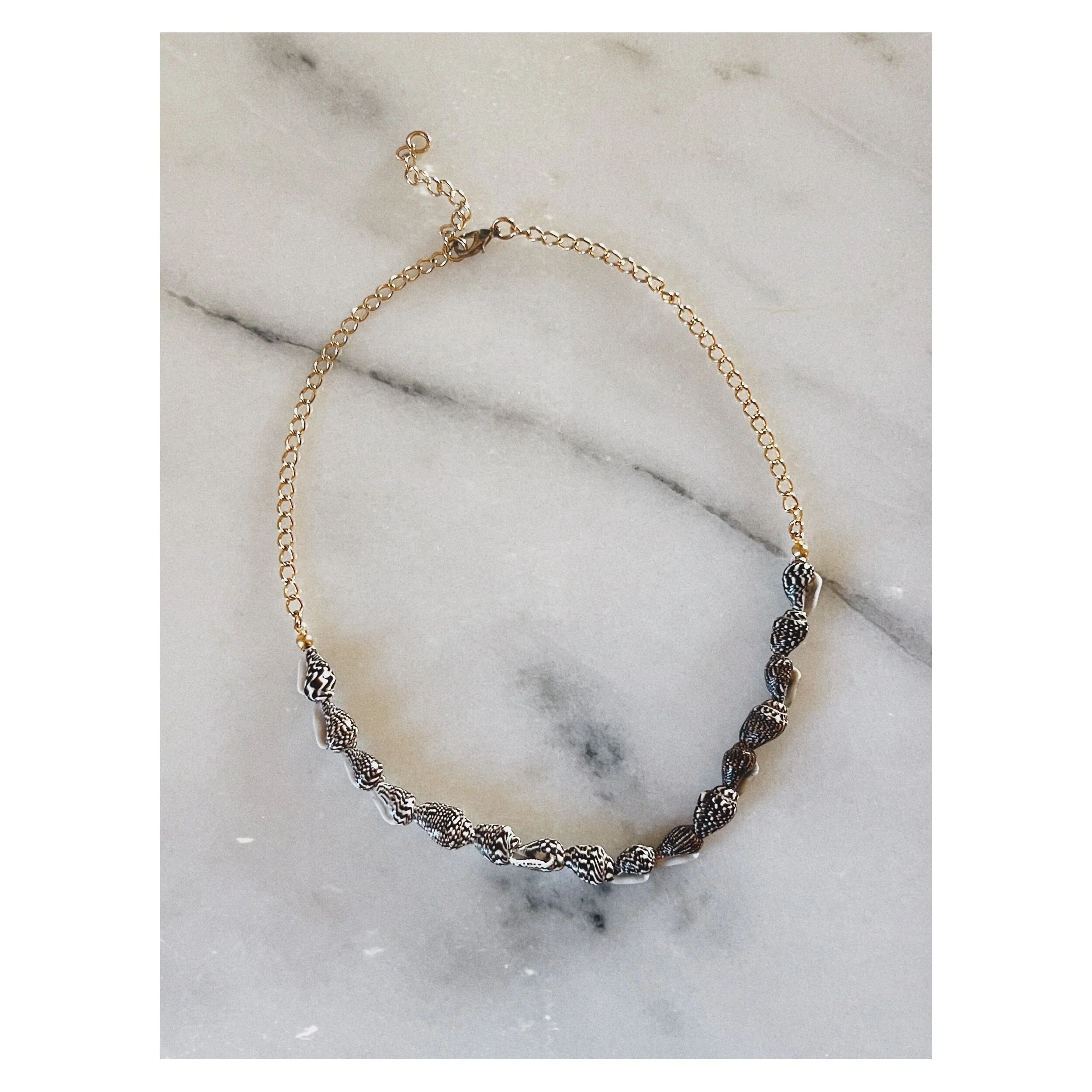 77C9B06E-C40E-4BC7-9031-33FEC237CB96