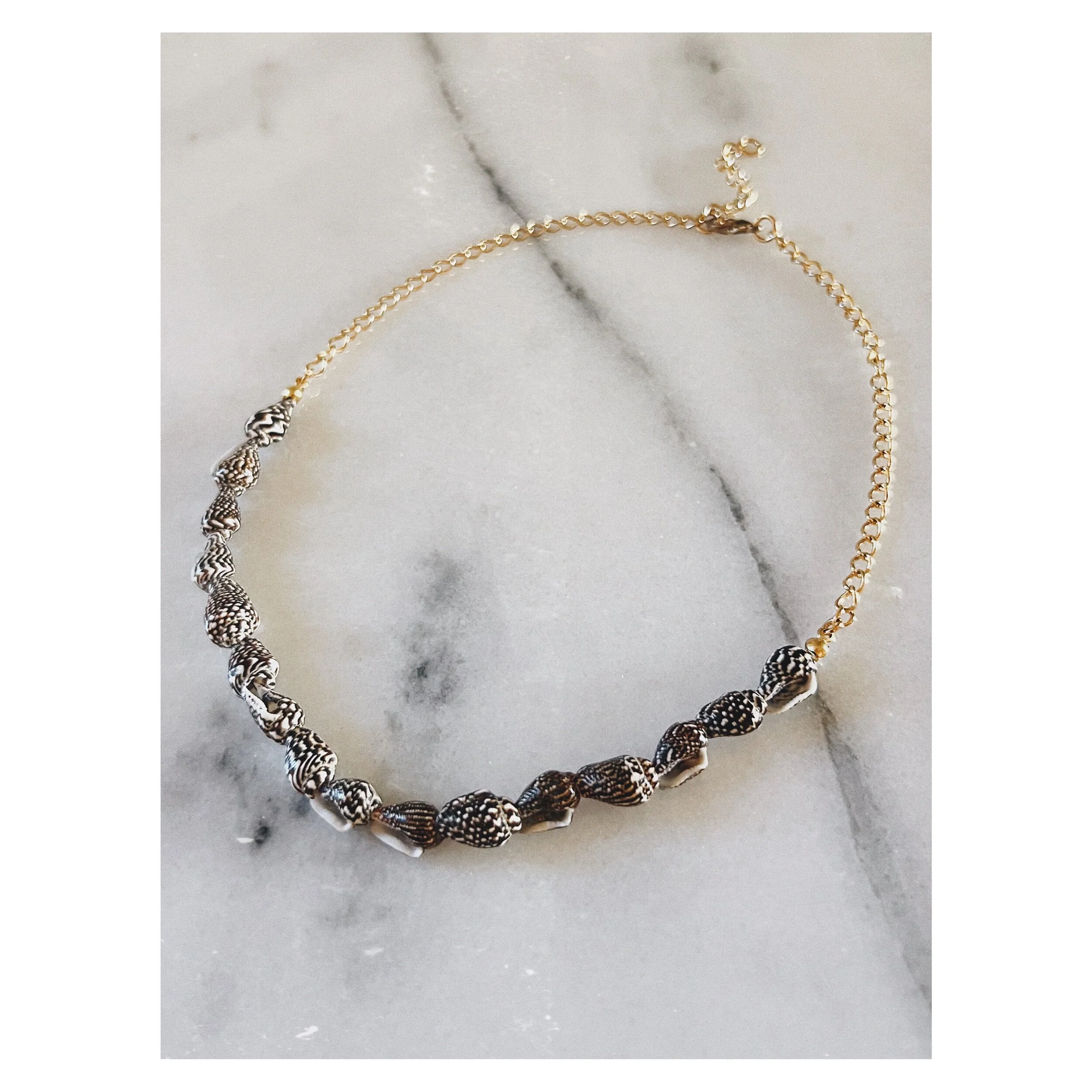 E233E2DF-A71D-4912-B885-795B960E7F69