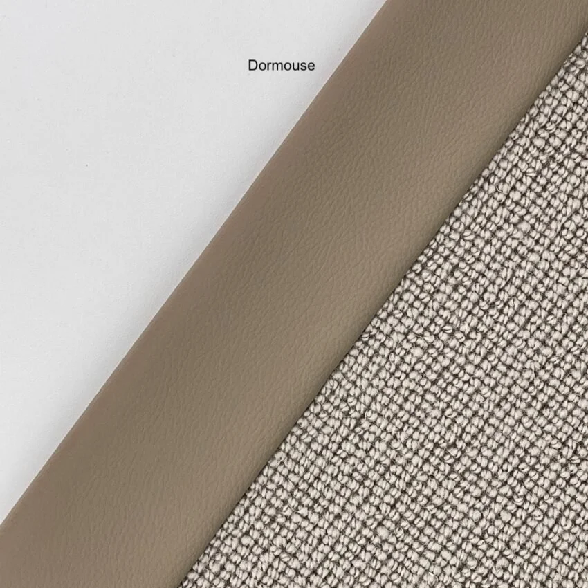 Edmonton - Dormouse .jpg