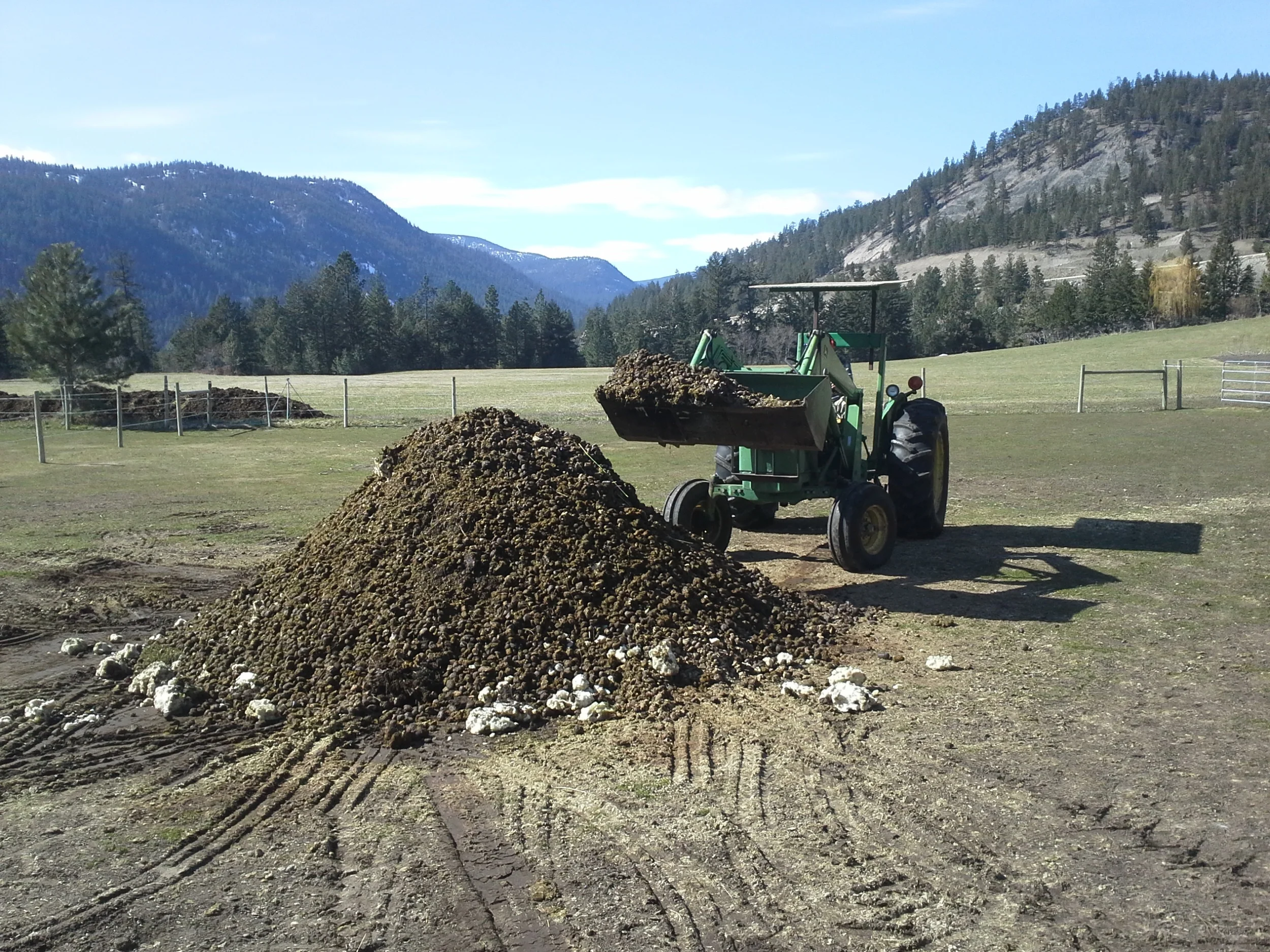 Horse manure = plant food.