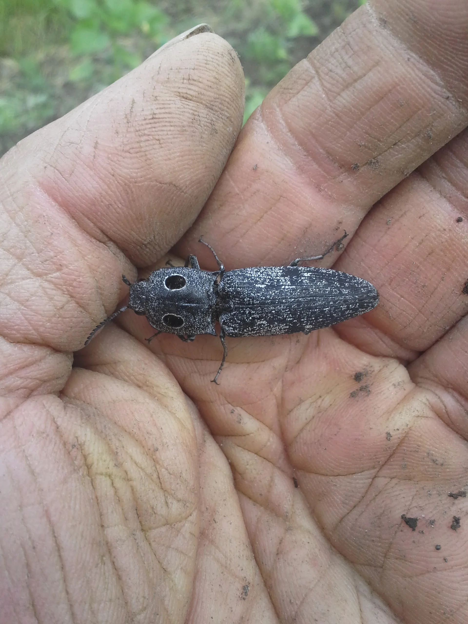 20130611_162404.jpg