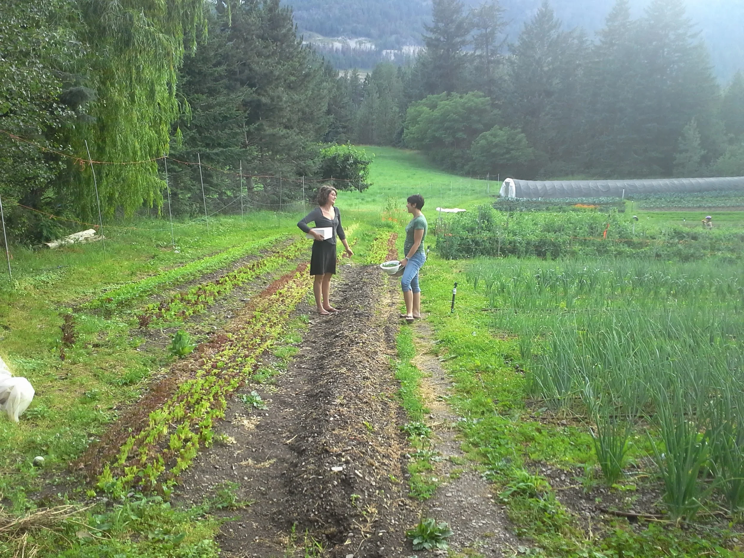 20130705_193722.jpg