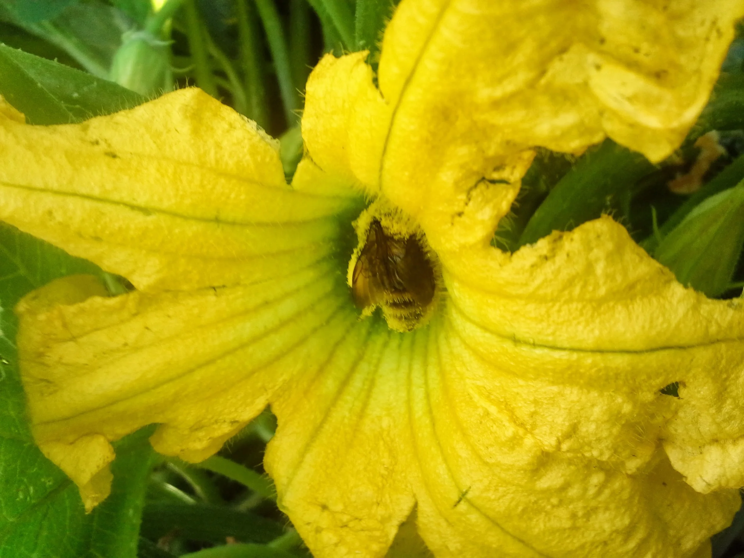20130812_084417.jpg