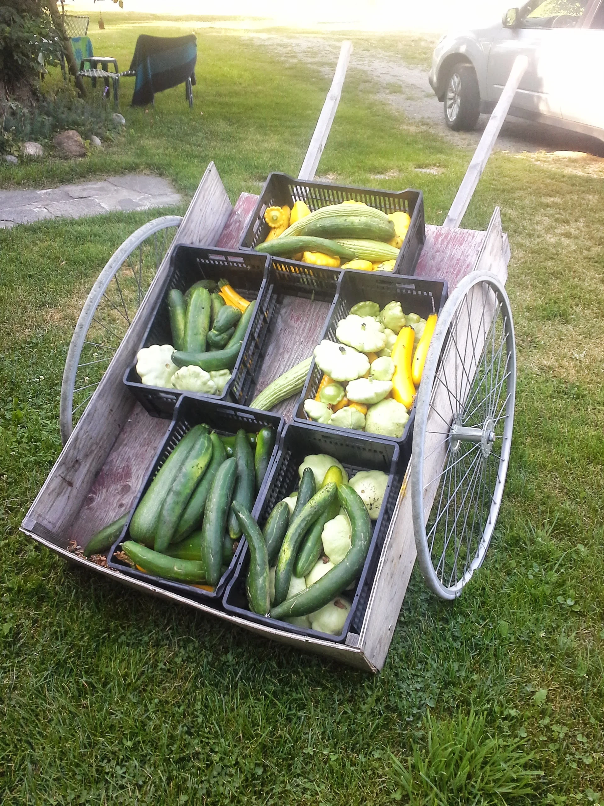 20130812_091144.jpg