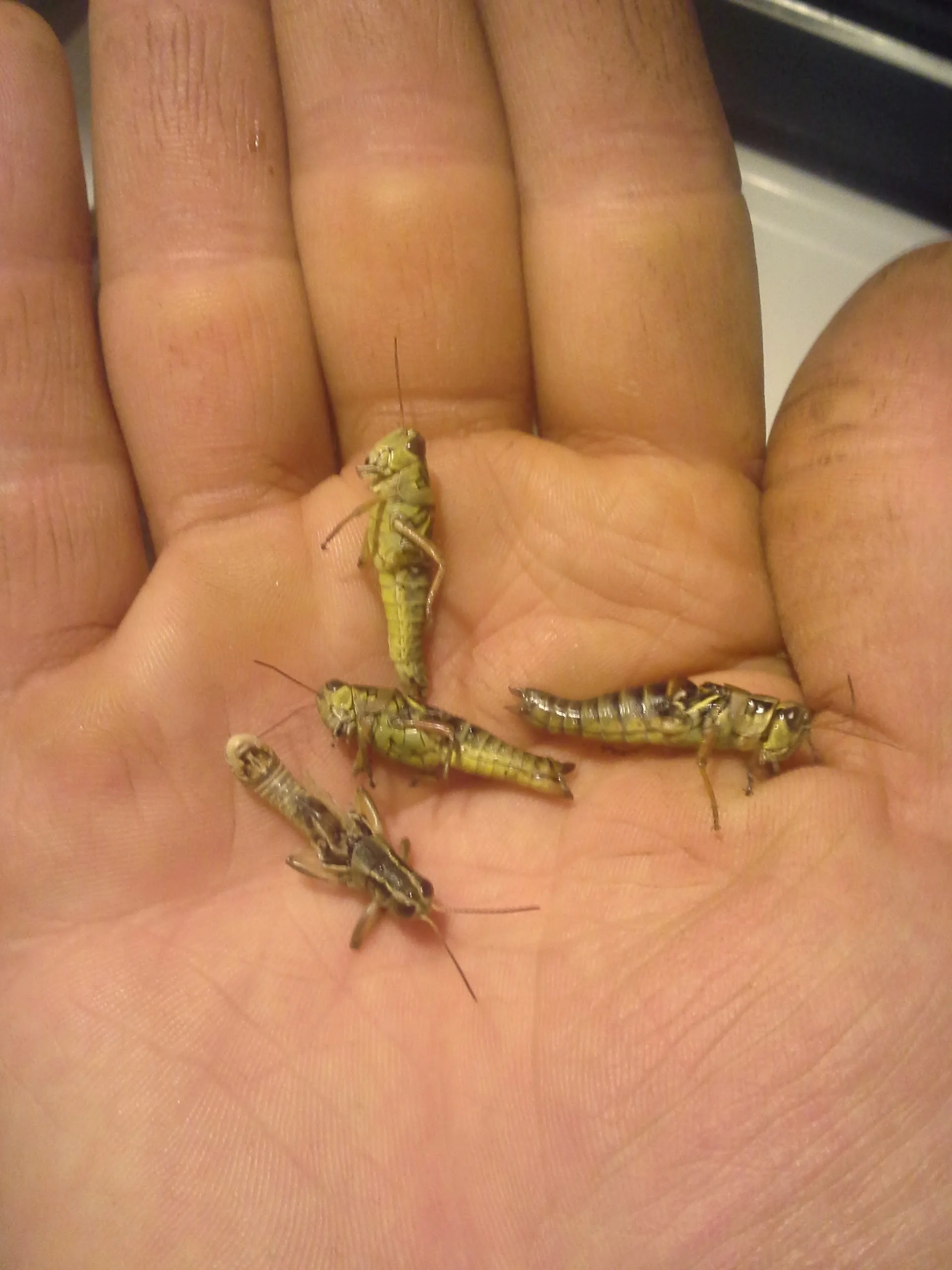 20130830_194127.jpg