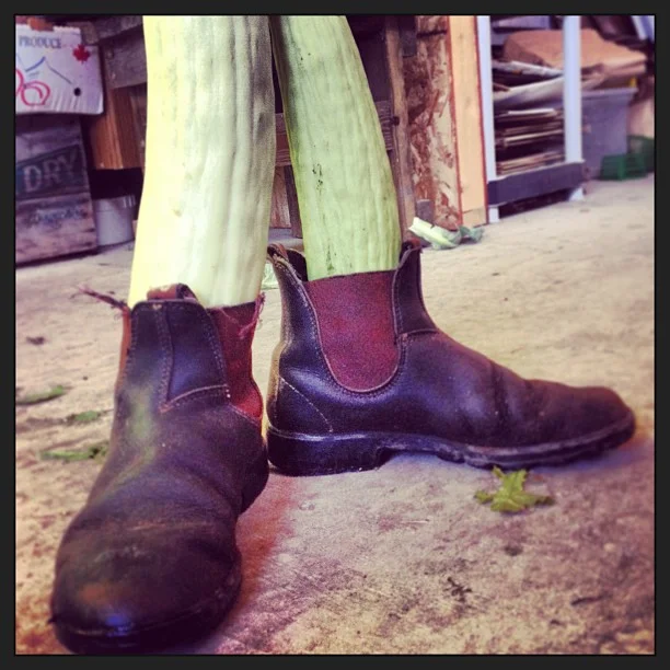 boots.jpg