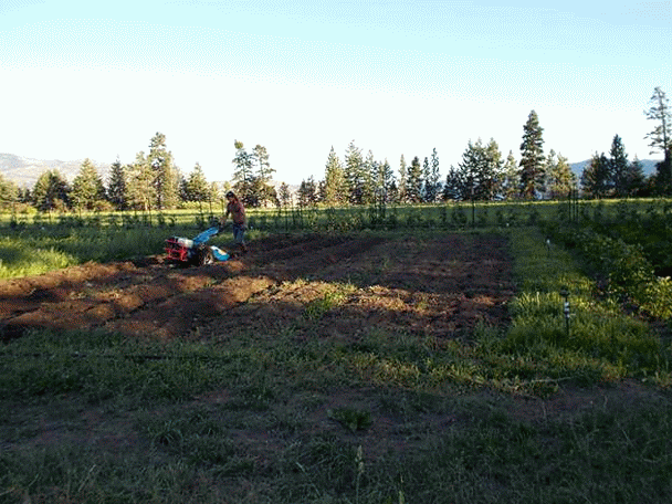 026 (Small)-MOTION.gif