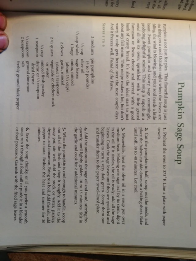 ...or this photo for a nice pumpkin soup. Though you'll need to cut the recipe nearly in half...